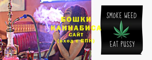 молекула духа Вяземский