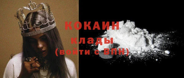 молекула духа Вяземский