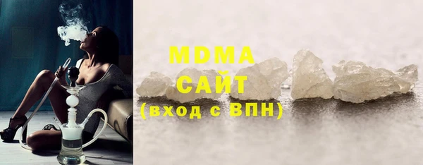 молекула духа Вяземский