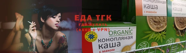 молекула духа Вяземский