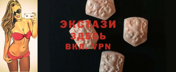 молекула духа Вяземский