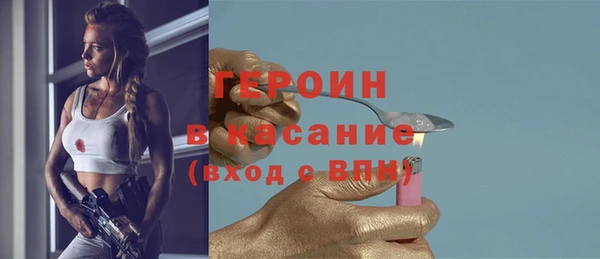 молекула духа Вяземский