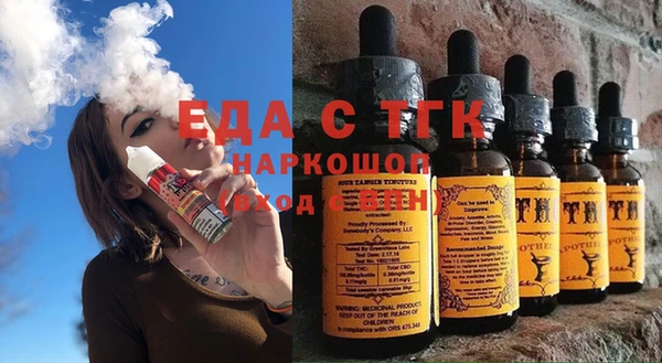 молекула духа Вяземский