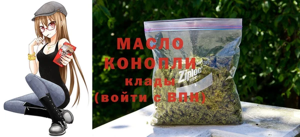 молекула духа Вяземский