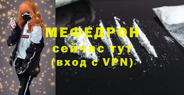 молекула духа Вяземский